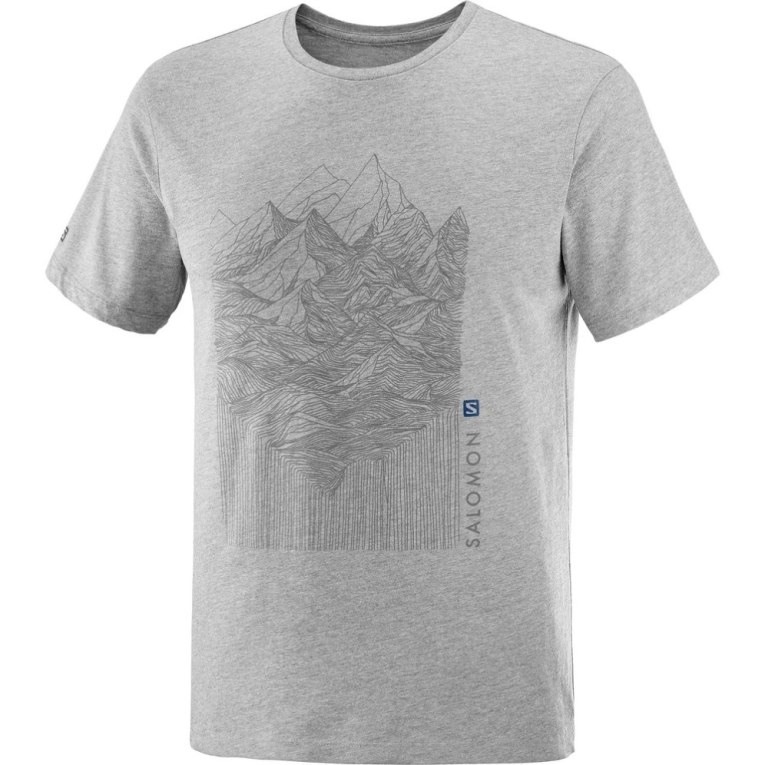 Camiseta Salomon Outlife Gráficas Mountain Heather Curta Sleeve Masculino Cinzentas | PT E49136